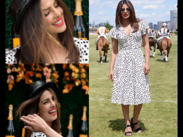 போலோ லூக் : 