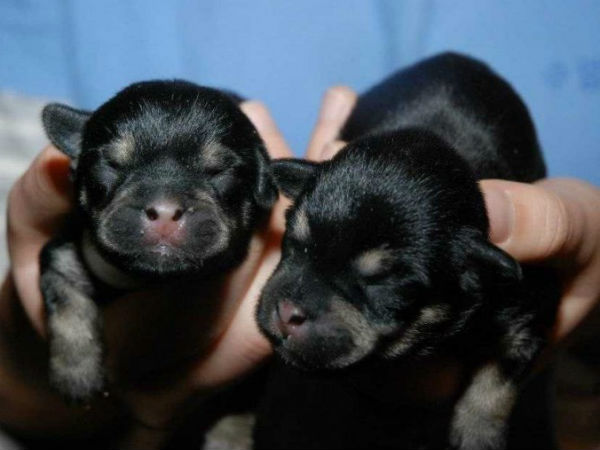 சீனா இரண்டாம் இடம் : 