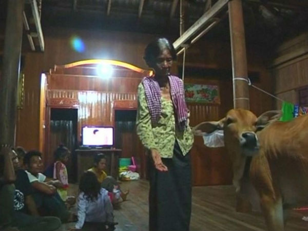 கணவரும் கன்றும் : கணவரும் கன்றும் :