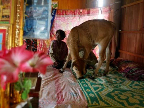 திருமணம் : திருமணம் :