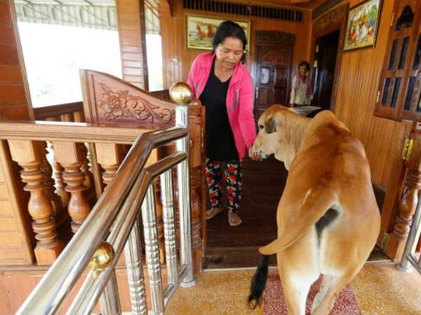 சாசனம் : சாசனம் :