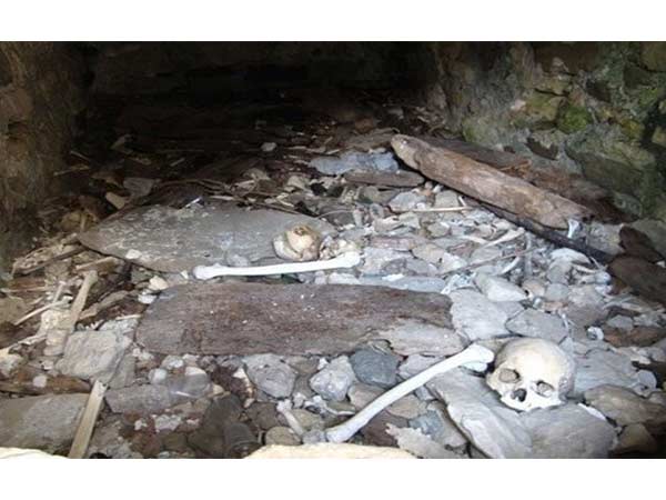 எப்படி வாழ்கிறார்கள்?