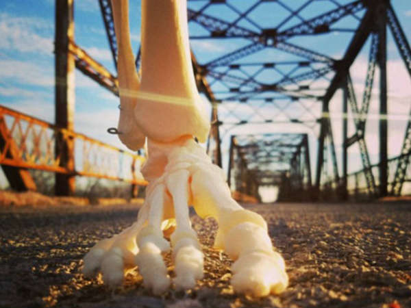 புற்றுநோய் : 