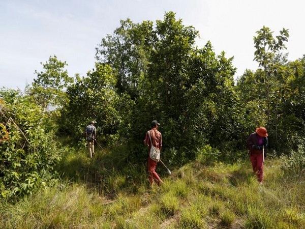 8. சிலந்தி பிடிப்பவர்கள்