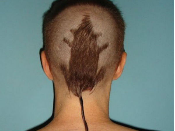 எலி ஹேர் கட் : 