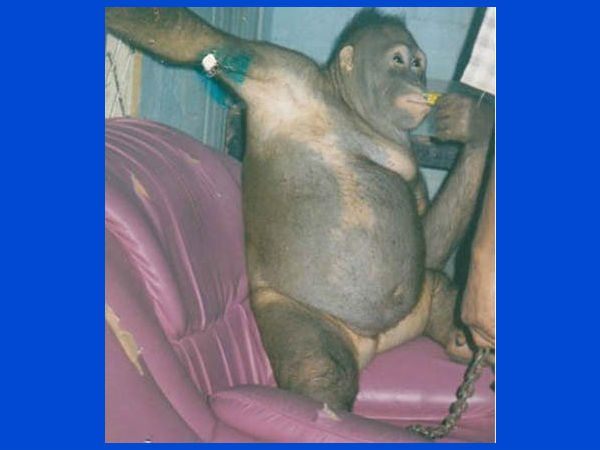 வருமானம்!