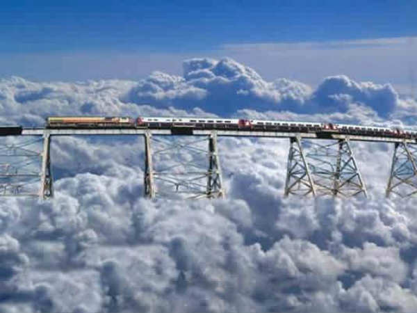 அர்ஜன்டீனா : 