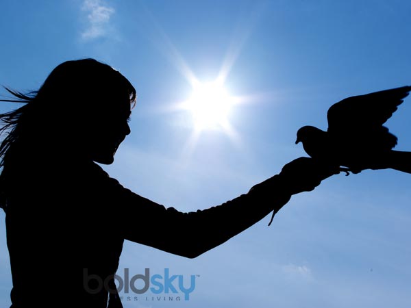 உங்களை மன்னியுங்கள் : 