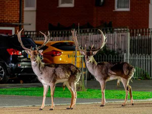 மருத்துவர் அலெக்சாண்டர்!