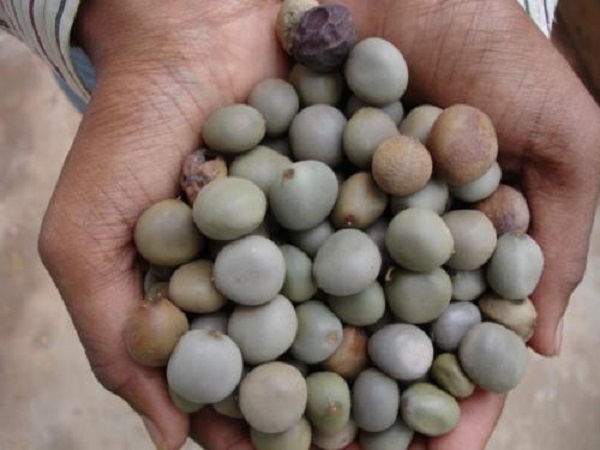 பயன்படுத்தும் முறை: