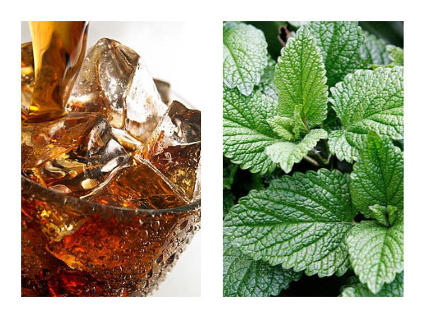 8. கோலா மற்றும் புதினா