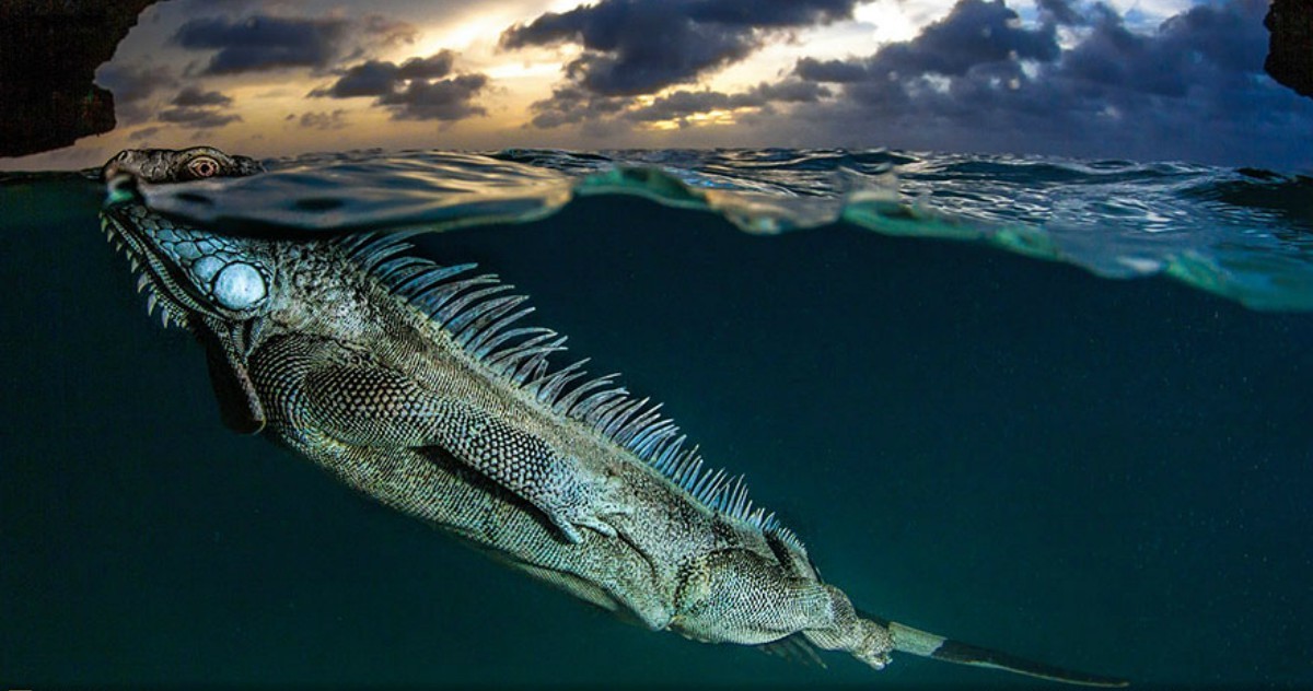 #கண்டுபிடி....