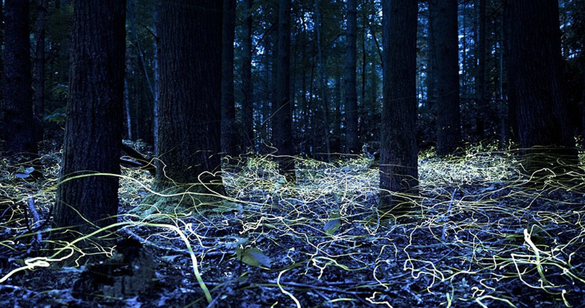 #காதலை தேடி!