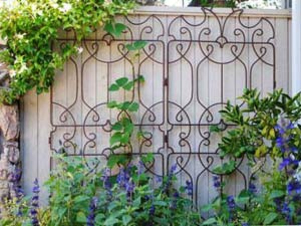 துளிர் முதல் வேர் வரை