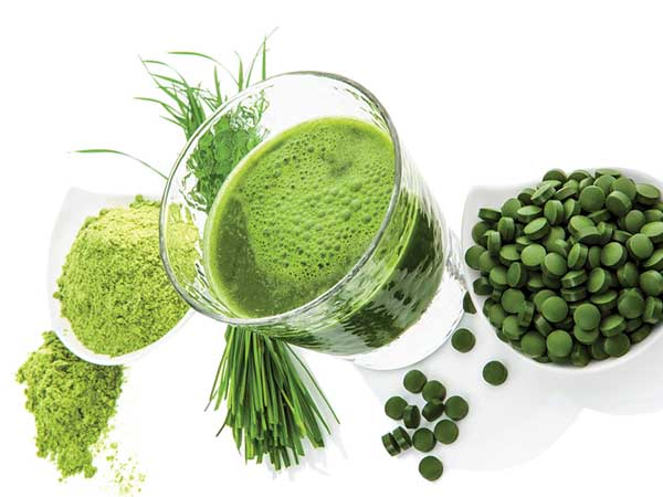 ஸ்பைருலினாவின் பயன்கள் ஸ்பைருலினாவின் பயன்கள்