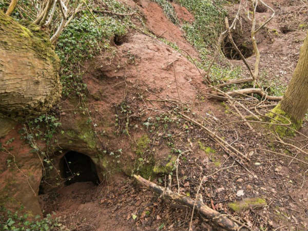 மர்ம குகை!