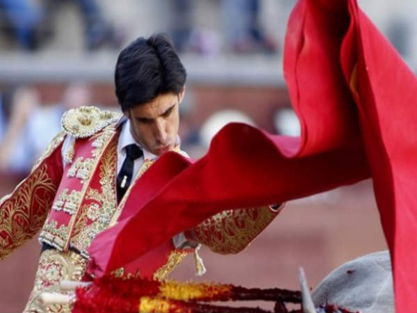 காளை! காளை!