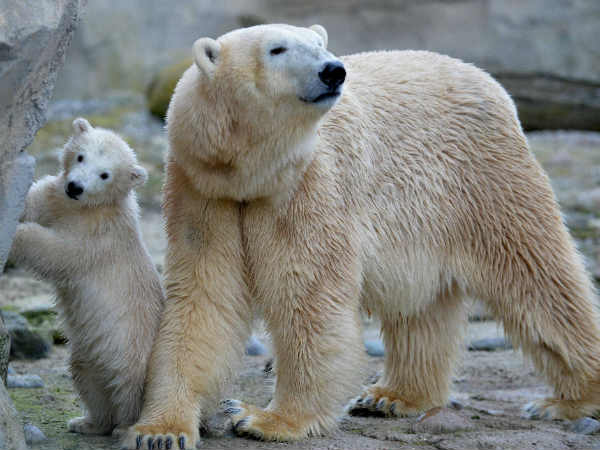 குளிர்காலம்! குளிர்காலம்!