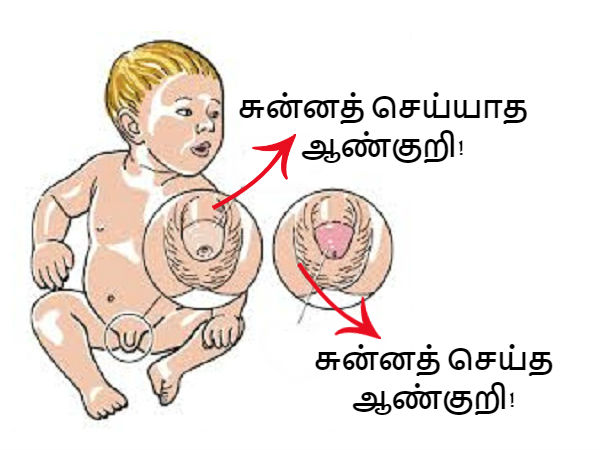 முன் தோல் செயல்பாடுகள்!