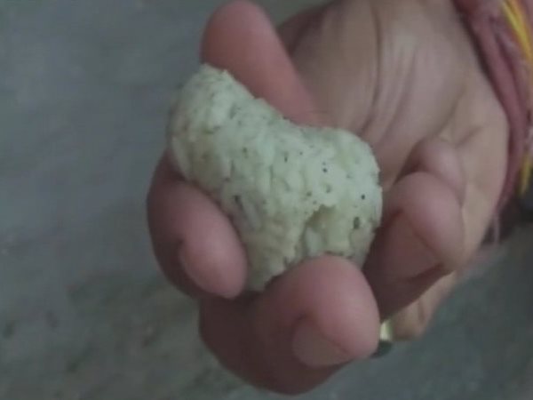 அரிசிப் பந்திற்கான காரணங்கள்? அரிசிப் பந்திற்கான காரணங்கள்?