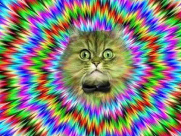 அறிமுகம் : 