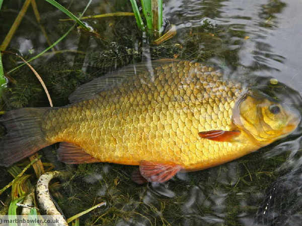 ரகசியம் : 