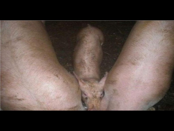 உற்றுப்பாருங்கள்! 