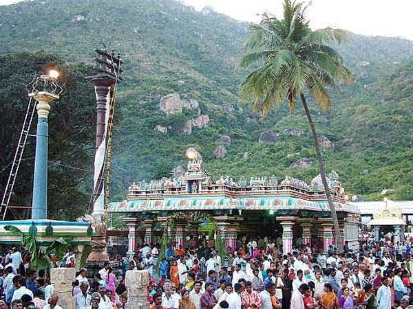 2. கொடி மரத்தின் தெய்வ சக்தி 2. கொடி மரத்தின் தெய்வ சக்தி