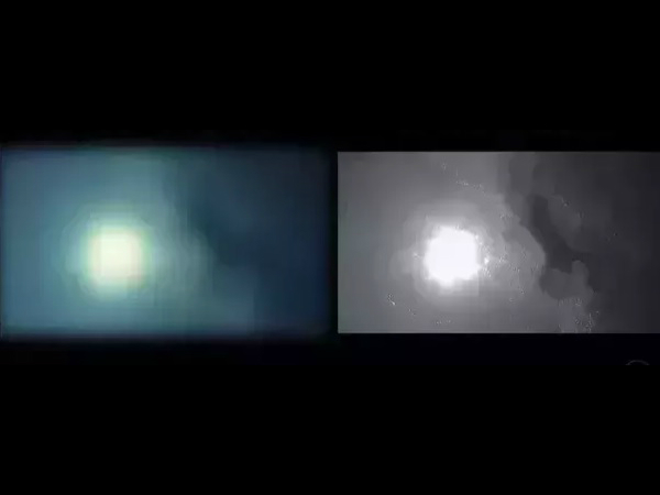 சுறா மீன்!