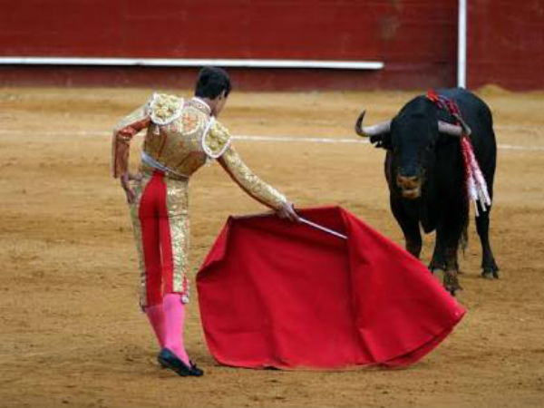 சிவப்பு நிறத்தை பார்த்தால் கோபம் :