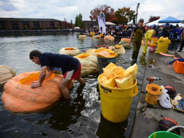 பூசணிப் படகு போட்டி : 