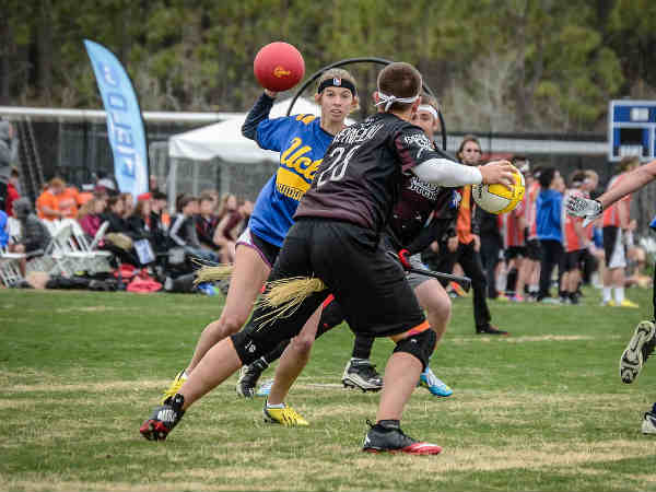 க்யுடிச் : 