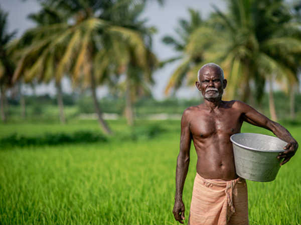 தொலைக்க ஒன்றுமில்லை : 