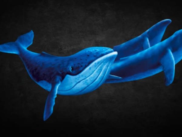 சுடுகாடு!