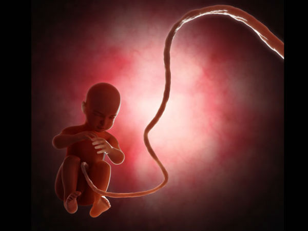 உயிர் பிழைத்த அதிசயம் : 