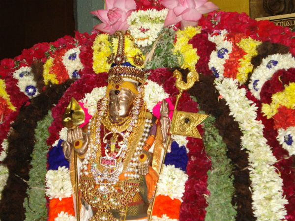 மனித வாழ்க்கை மனித வாழ்க்கை