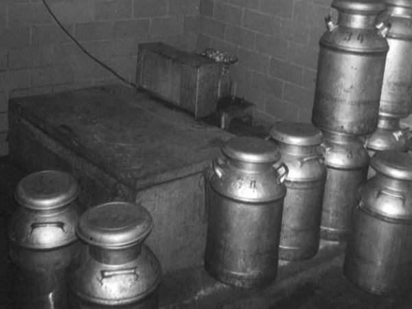 பால் பண்ணை படிப்பு : 