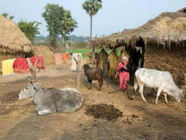 சிக்கல் : 