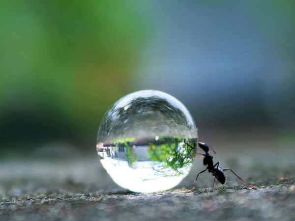 தைரியம் : 