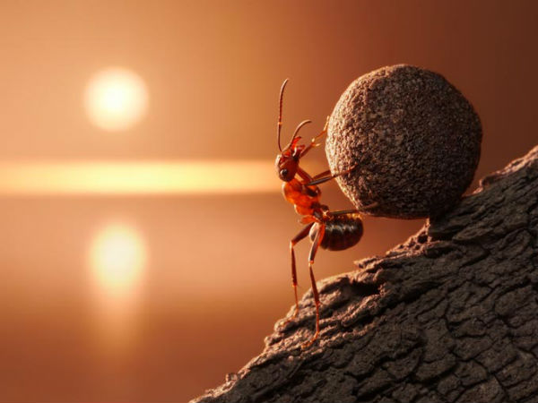 நம்பிக்கை : 