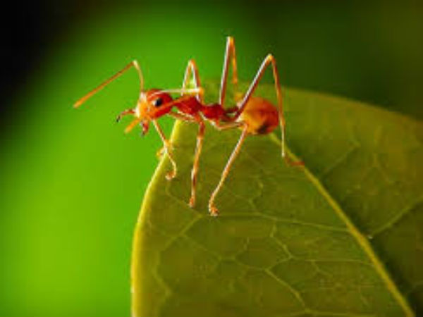 எதிர்ப்பு : 