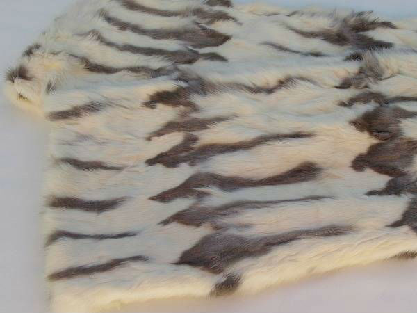 அணில் தோல்!