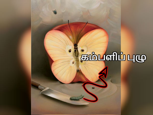 கம்பளிப் புழு!