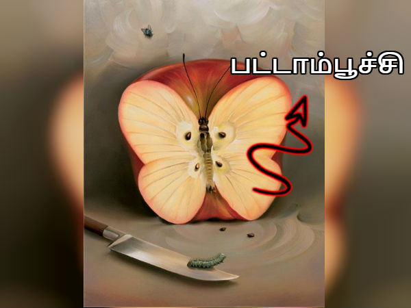 பட்டாம்பூச்சி!