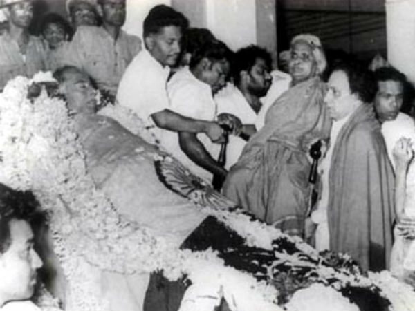  செல்லபிராணிகள் : 