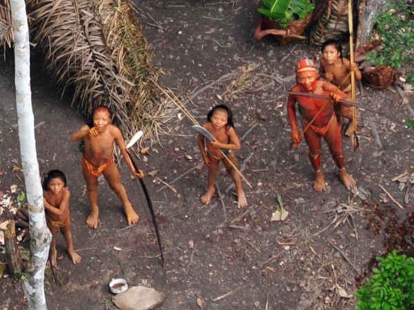 ஆண் தன்மை : ஆண் தன்மை :