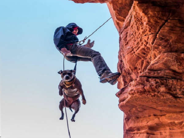 அன்டர் கிரவுண்ட் ஆப்ரேஷன் : 