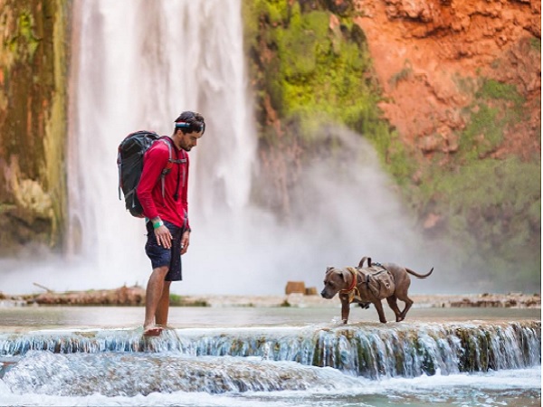 டெலுகாவின் பென்னி : 