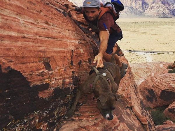 புதிய பயணம் : 