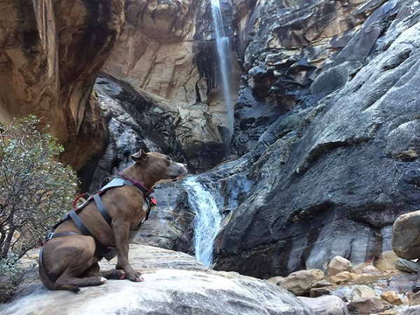 அட்வென்ச்சர் : 